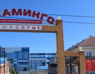 Детский санаторно-оздоровительный лагерь "Фламинго"